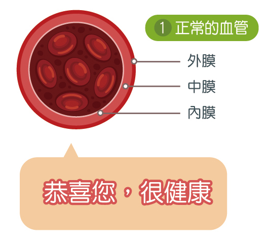 血管檢測報告範例