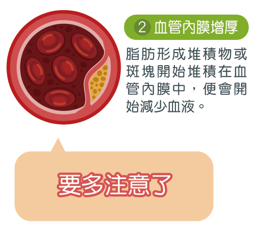 血管檢測報告範例