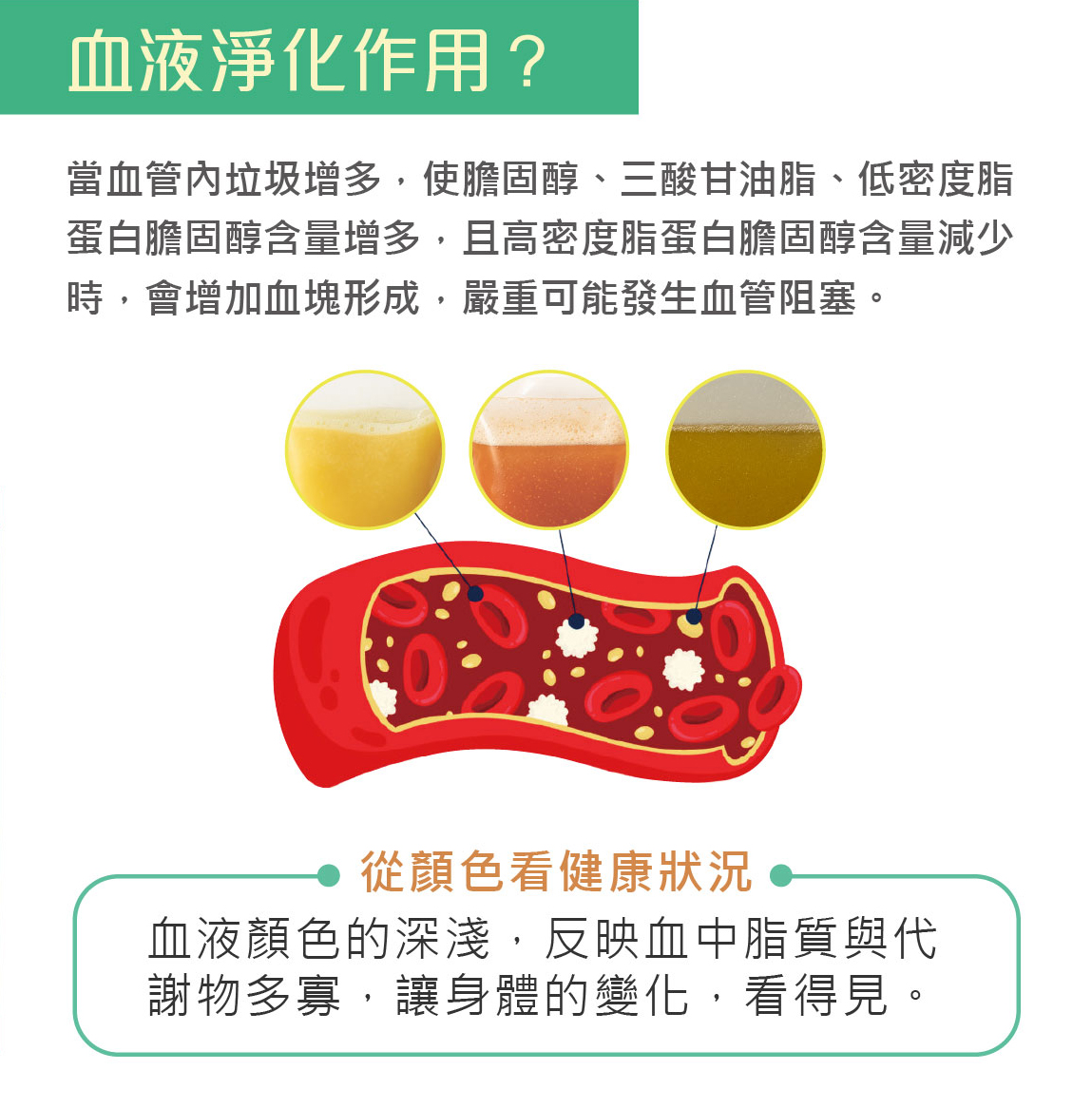 血液淨化作用與血液顏色分析