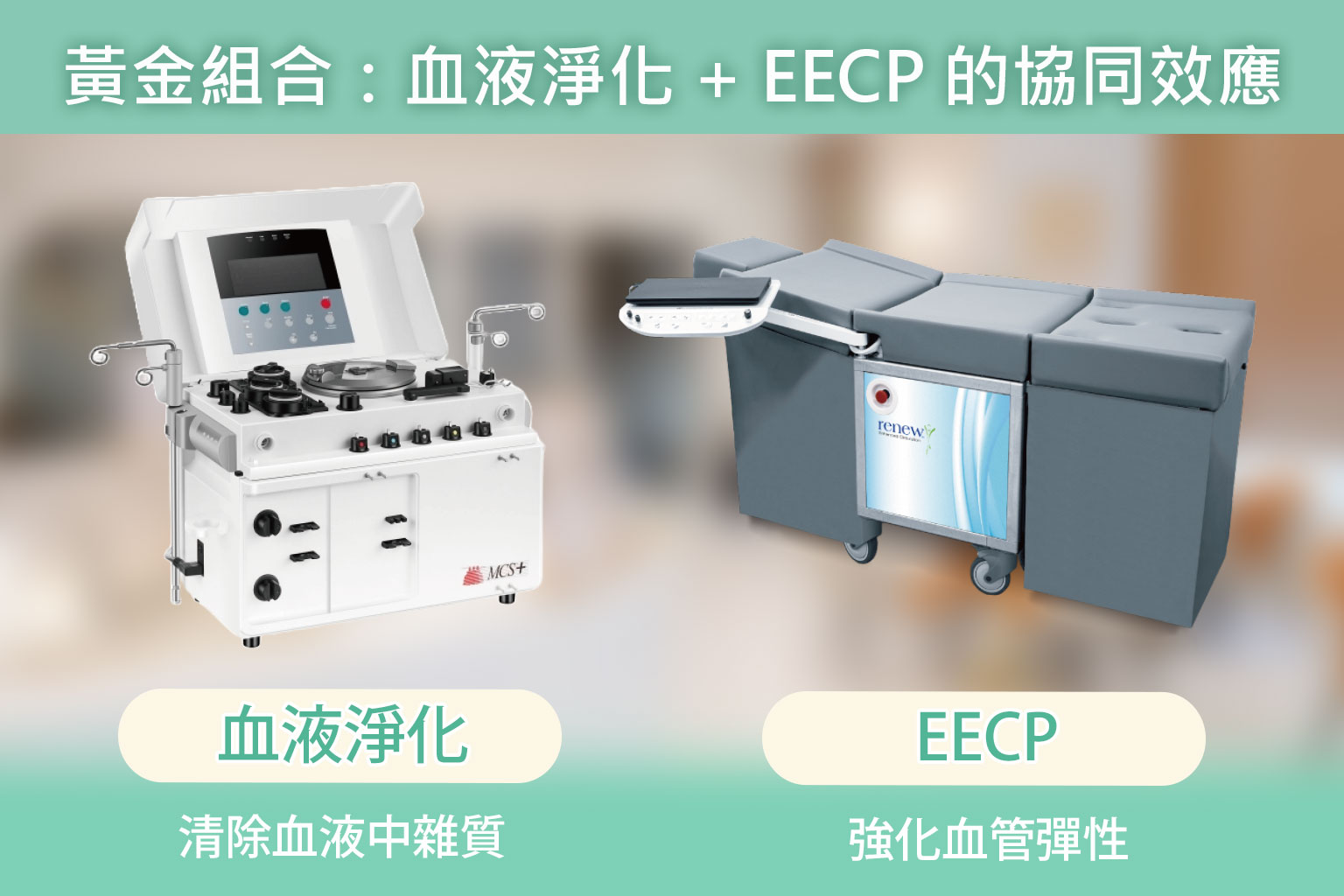 血管淨化示意圖