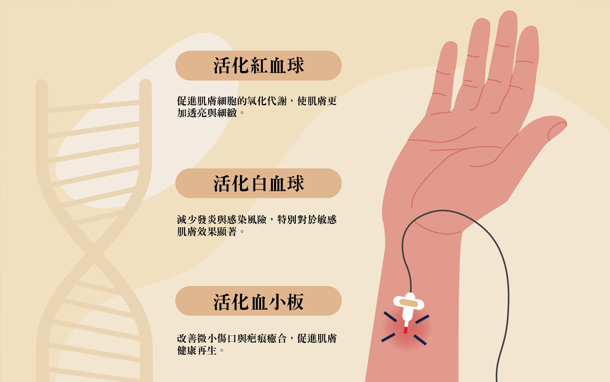 改善血液健康，加速血液循環與新陳代謝