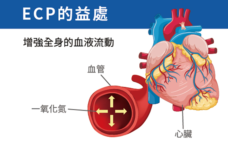 醫師向患者說明EECP療程