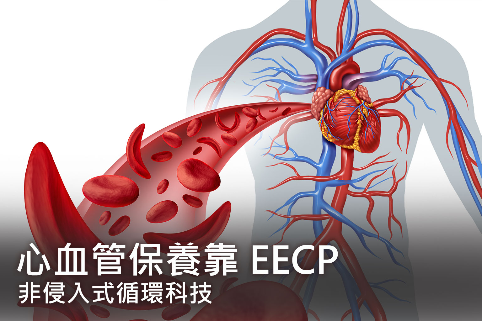 心血管保養靠 EECP：非侵入式循環科技，打開健康新節奏
