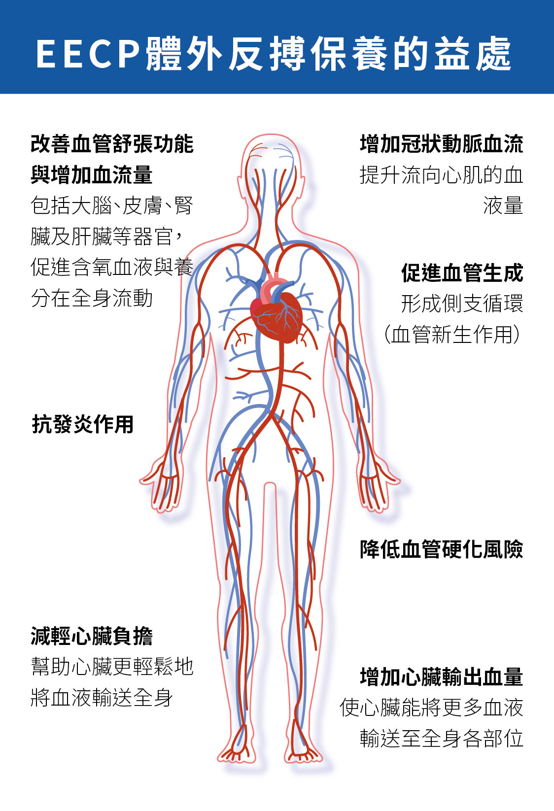 EECP 改善循環與提升體力