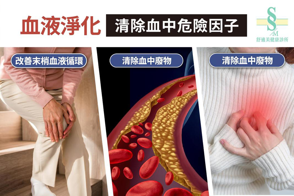 血液淨化療法：為身體打造潔淨循環的第一道防線