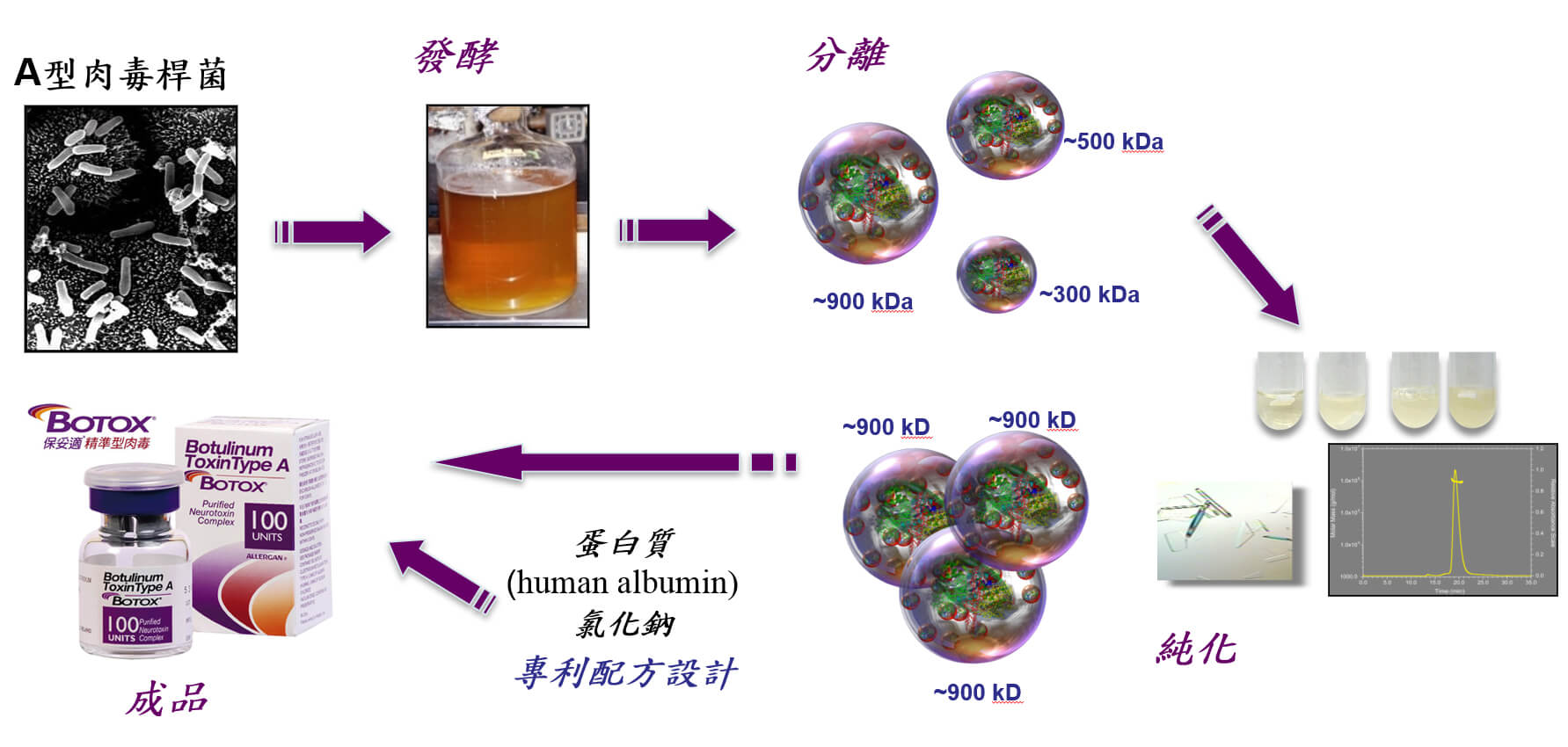 舒適美健康診所_保妥適肉毒 如何發揮作用？