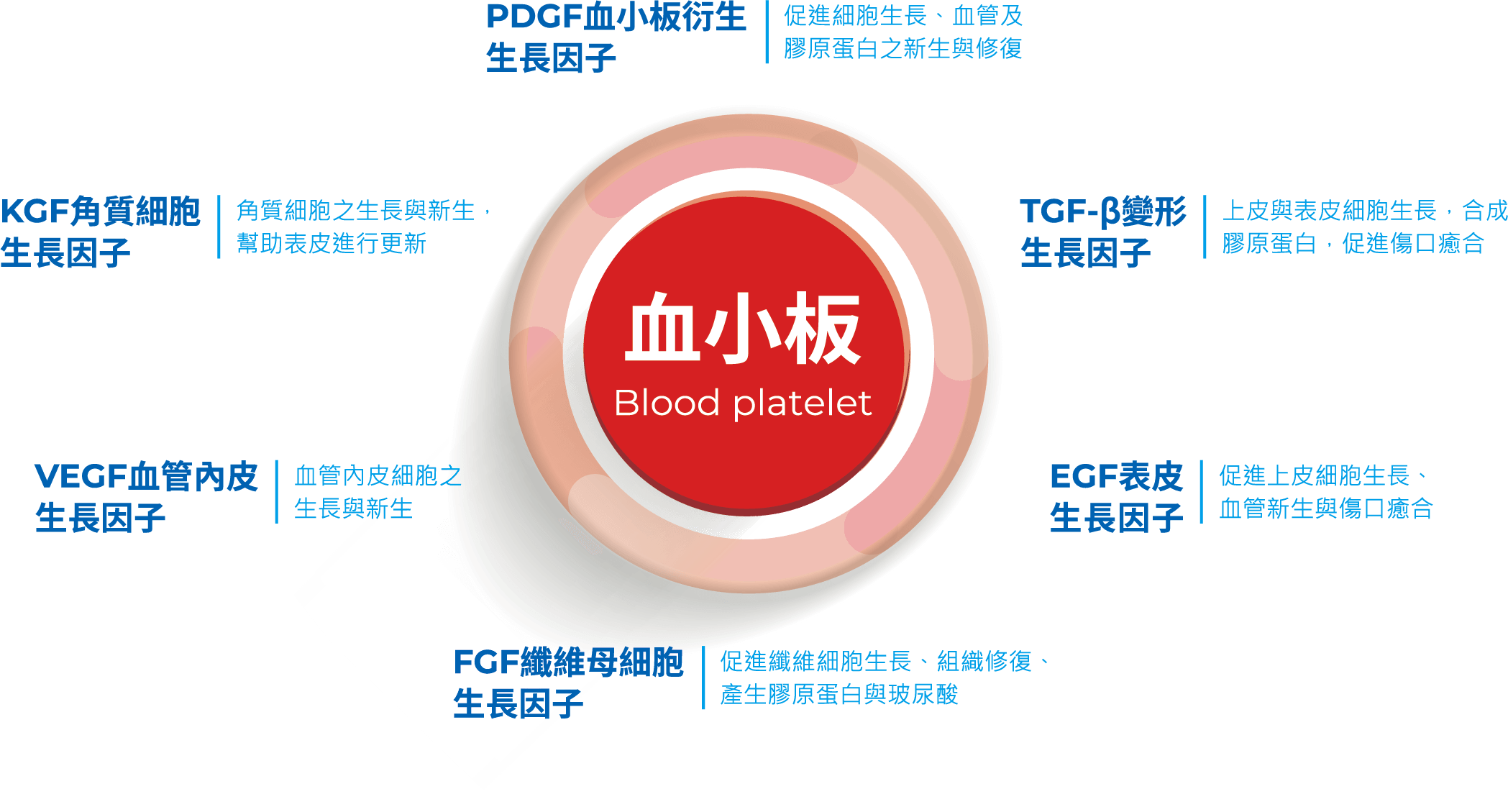 10億顆血小板介紹